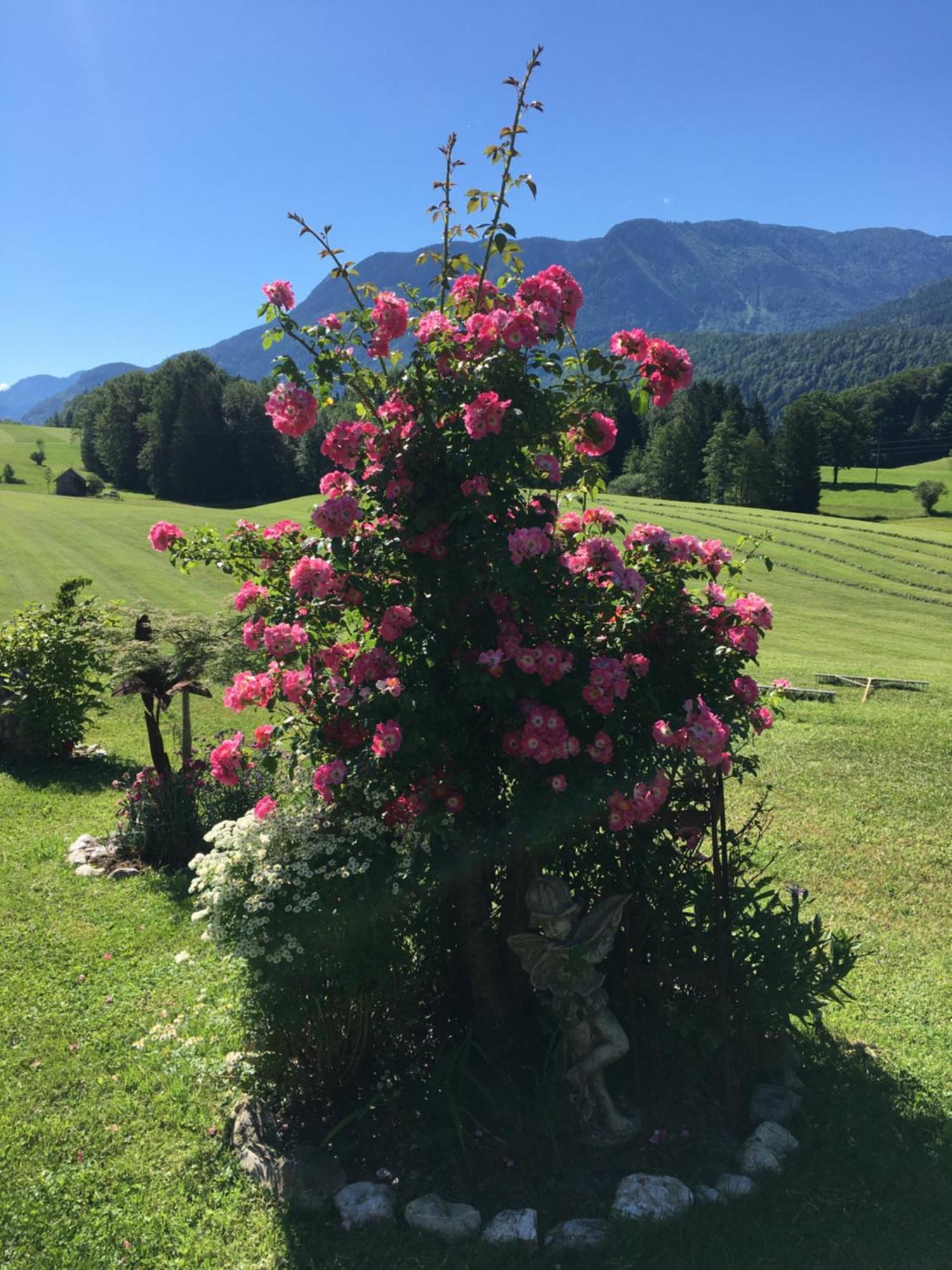 Maislbauer Sankt Wolfgang im Salzkammergut Luaran gambar